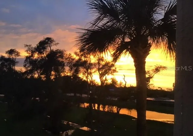 9450-harbor-greens-wy-301-seminole-fl-33776/hzid_9f9ad898