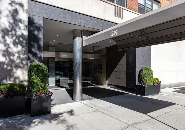 239-e-79th-street-8a-new-york-city-ny-10075/hzid_df550ced