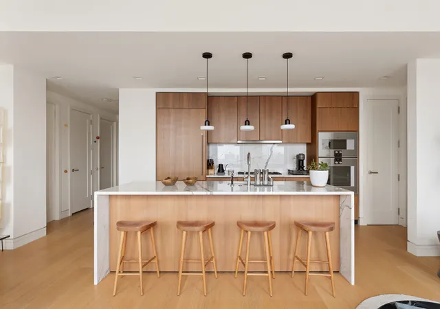 242-broome-st-11a-new-york-city-ny-10002/hzid_a07ce1e6