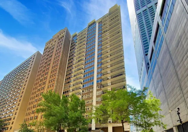 201-e-chestnut-st-3a-chicago-il-60611/hzid_c1ccdf1b