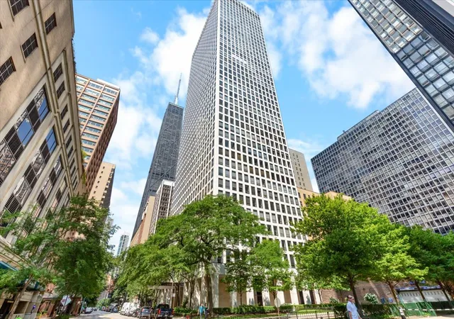260-e-chestnut-st-303-chicago-il-60611/hzid_9f232cbd