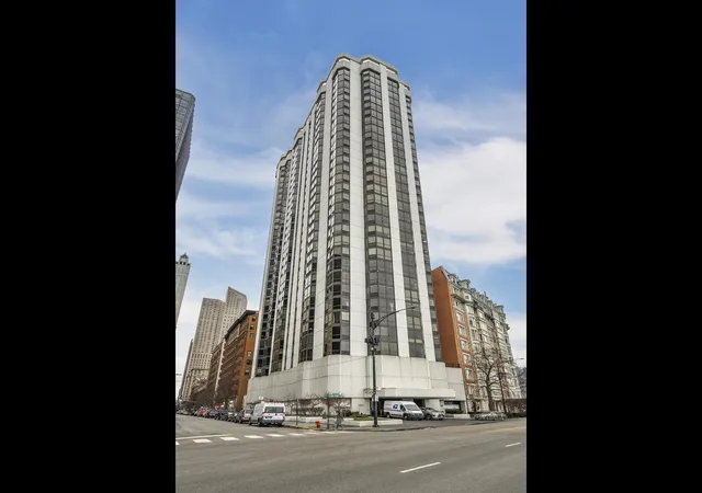 990-n-lake-shore-dr-15d-chicago-il-60611/hzid_50b035f0