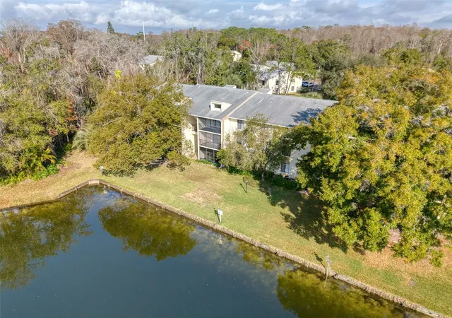 3134-lake-pine-wy-g2-tarpon-springs-fl-34688/hzid_c7a01af5