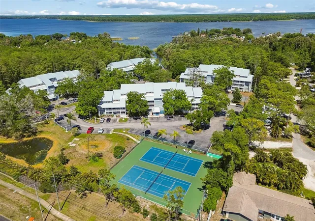 2599-dolly-bay-dr-302-palm-harbor-fl-34684/hzid_a845dcc0