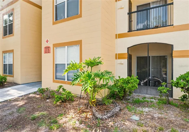 5618-pinnacle-heights-cir-206-tampa-fl-33624/hzid_3275e916