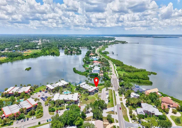 1001-s-bayshore-blvd-101-safety-harbor-fl-34695/hzid_f72b844b