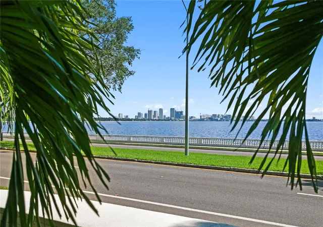 3507-bayshore-blvd-102-tampa-fl-33629/hzid_3b13f6ac