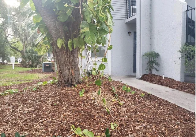 7100-waterside-dr-tampa-fl-33617/hzid_54d49a0d