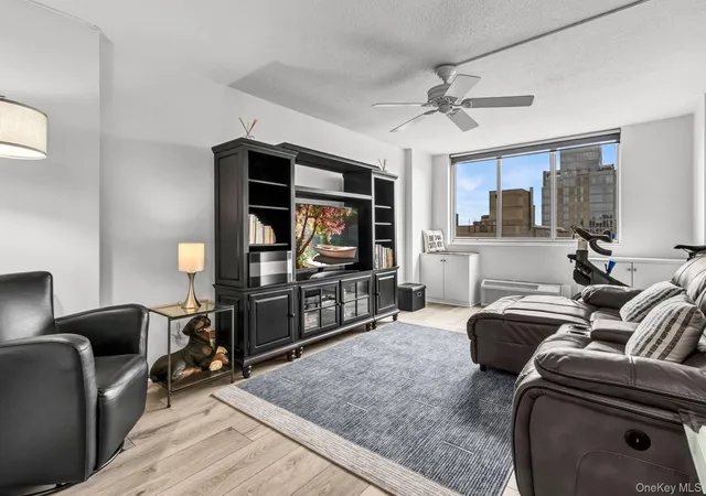 345-e-93rd-st-32g-new-york-ny-10128/hzid_611f82f1