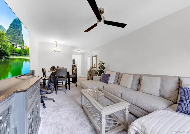 3-birchwood-ct-3h-north-hempstead-ny-11501/hzid_9a6c4d76