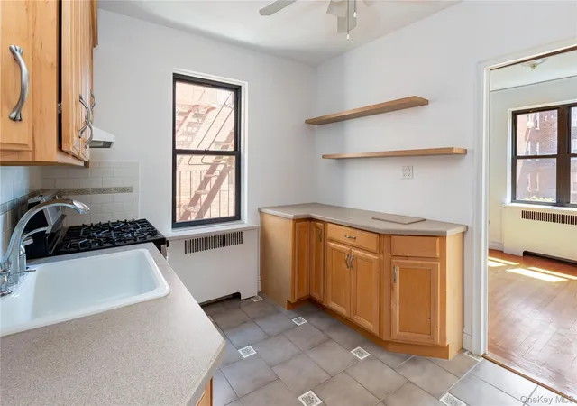 3215-netherland-ave-4e-new-york-ny-10463/hzid_a861c308