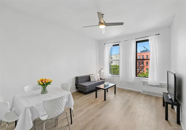 169-allen-st-4a-new-york-ny-10002/hzid_7d3657a8