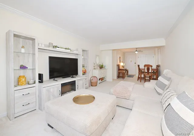 4-birchwood-ct-1o-hempstead-ny-11501/hzid_11573104