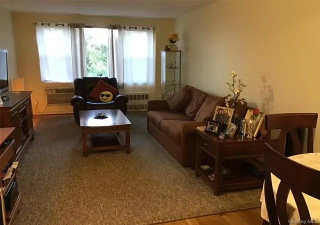 6-birchwood-ct-4b-north-hempstead-ny-11501/hzid_068bfa92