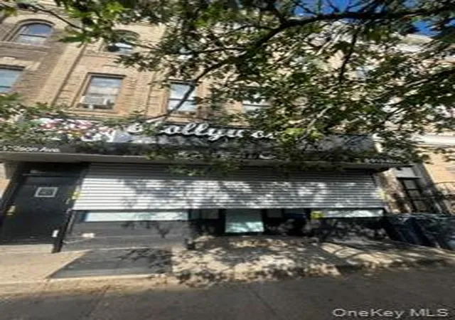 467-wilson-ave-4-new-york-ny-11221/hzid_e85e613b