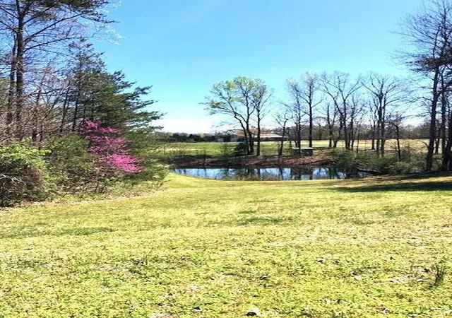 1-nelson-ml-rd-jamestown-ky-42629/hzid_cd2e642a
