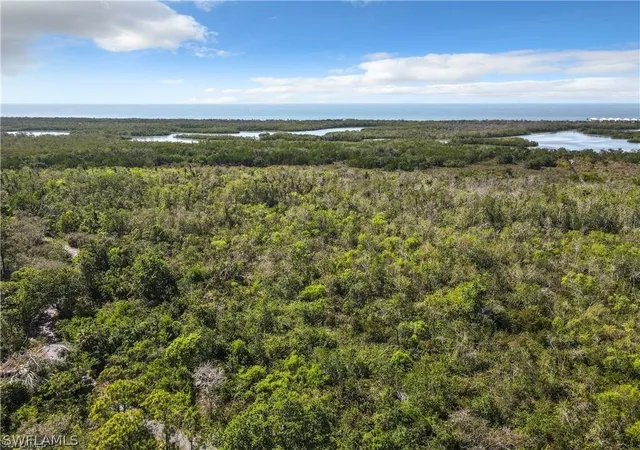 290-naples-cvs-dr-2402-naples-fl-34110/hzid_0eca4d44
