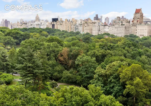 128-central-park-s-13a-new-york-city-ny-10019/hzid_fc182238
