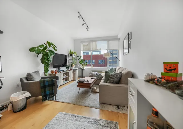1311-jackson-ave-7d-new-york-city-ny-11101/hzid_d59fc650