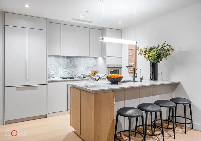 250-e-25th-st-11b-new-york-city-ny-10010/hzid_15d2ec12