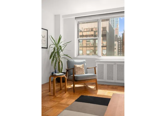 139-e-33rd-st-14b-new-york-city-ny-10016/hzid_dea815dd