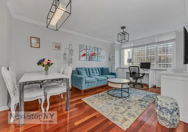 245-e-54th-st-12hj-new-york-city-ny-10022/hzid_12c45973