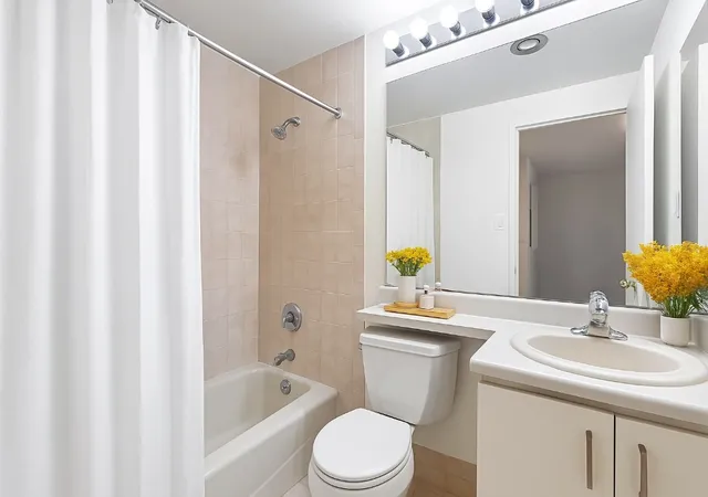 445-w-19th-street-5c-new-york-ny-10011/hzid_a2a6f233