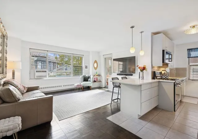 568-grand-st-j104-new-york-city-ny-10002/hzid_13edbbd3