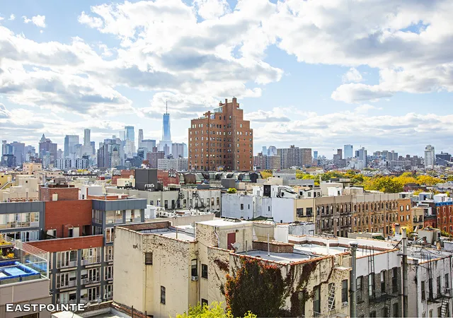 189-ave-c-10d-new-york-city-ny-10009/hzid_0a161666