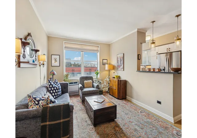 616-e-18th-st-6g-new-york-city-ny-11226/hzid_4e07d687