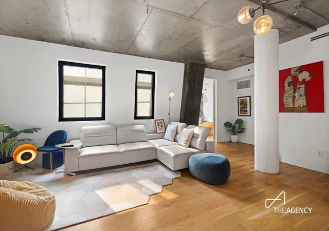 115-norfolk-st-301-new-york-city-ny-10002/hzid_1f20d5cd