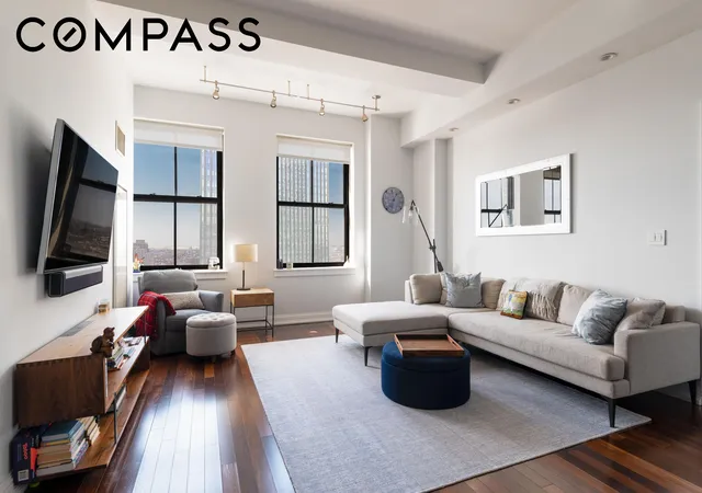 1-hanson-pl-17m-new-york-city-ny-11243/hzid_f310a5d6