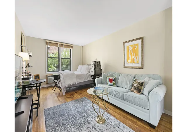 145-e-29th-street-6c-new-york-city-ny-10016/hzid_bfe6fc26
