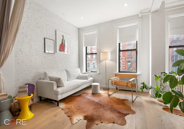 241-e-7th-street-2a-new-york-ny-10009/hzid_3ff85059