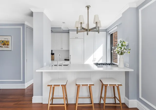 110-e-36th-street-12b-new-york-city-ny-10016/hzid_2208cde0