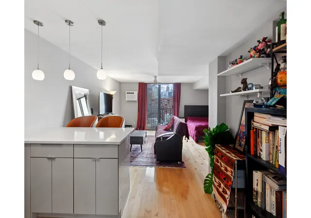 215-e-24th-street-820-new-york-city-ny-10010/hzid_cb3b68ba