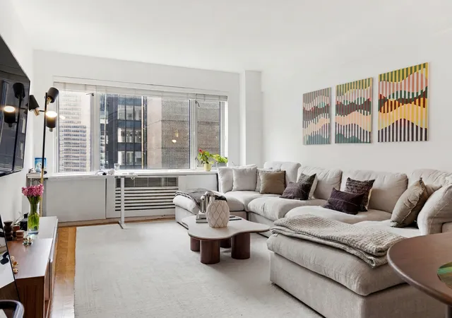 211-e-51st-st-9g-new-york-city-ny-10022/hzid_9df3782e