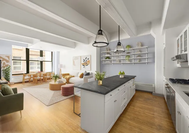 30-main-st-3f-new-york-city-ny-11201/hzid_e9a49485