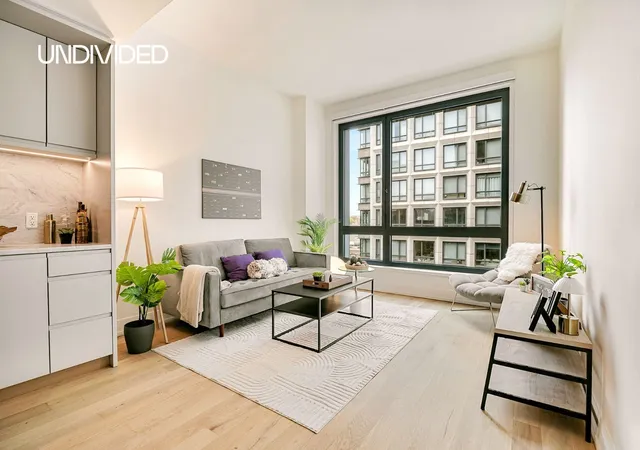 550-vanderbilt-ave-326-new-york-city-ny-11238/hzid_929316a3