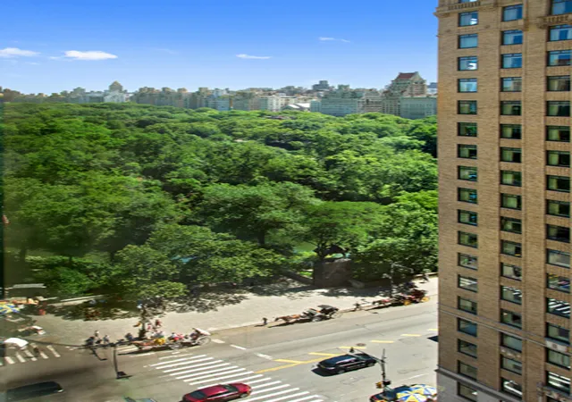 106-central-park-s-16g-new-york-city-ny-10019/hzid_20582e11