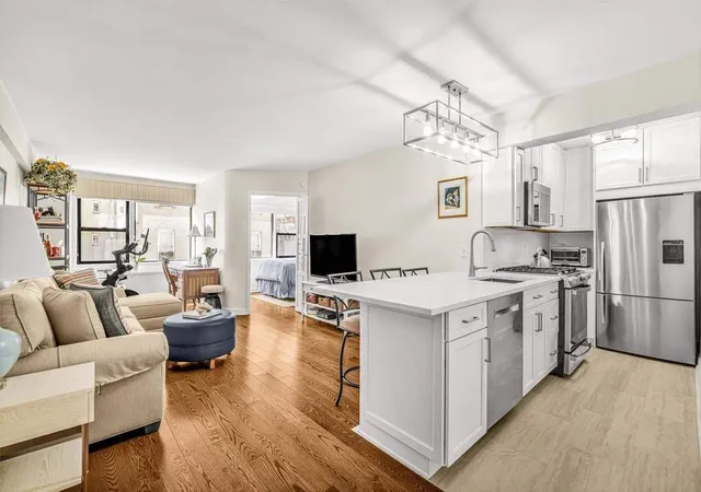 220-e-67th-st-6j-new-york-city-ny-10065/hzid_a0a58248