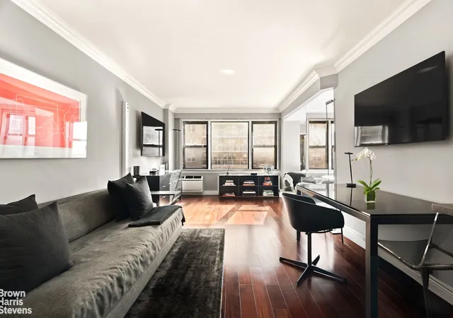 245-e-24th-st-11e-new-york-city-ny-10010/hzid_f4ba90cc