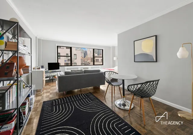 167-e-67th-street-14b-new-york-city-ny-10065/hzid_e8e89800