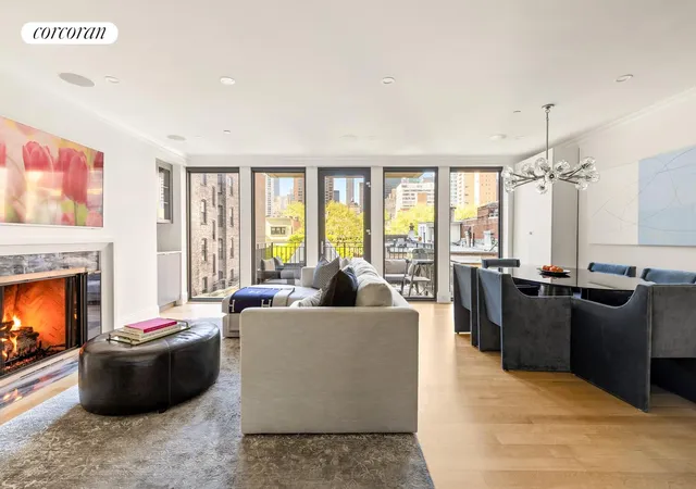 230-e-63rd-street-5-new-york-ny-10065/hzid_a1fb7a56