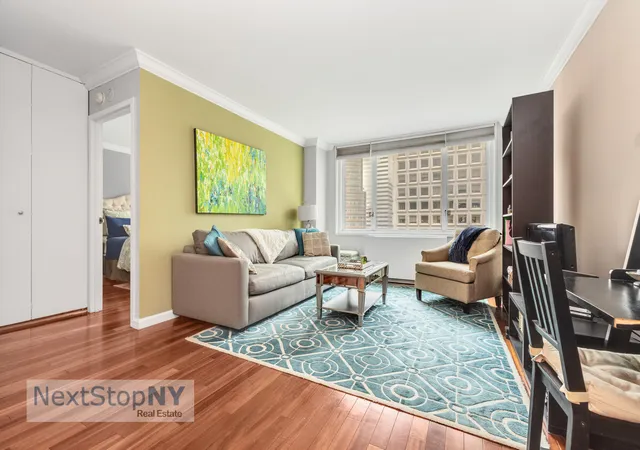 245-e-54th-st-20a-new-york-city-ny-10022/hzid_4e9342bd