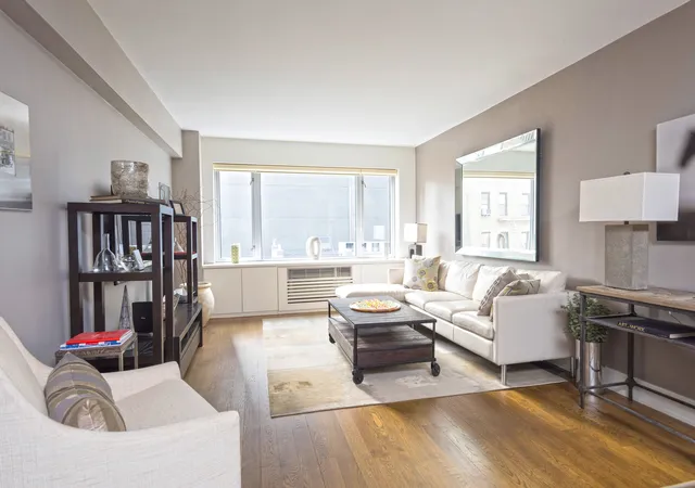 211-e-51st-st-6ab-new-york-city-ny-10022/hzid_e0049c05