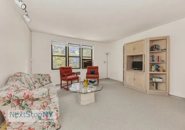 337-e-50th-street-3c-new-york-city-ny-10022/hzid_e8497ba8