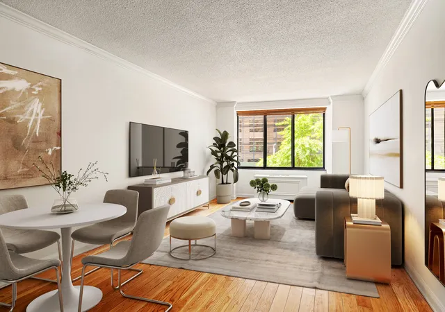 5-e-22nd-street-3g-new-york-city-ny-10010/hzid_c8aaab4e