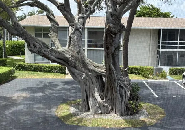 620-horizon-w-202-boynton-beach-fl-33435/hzid_b8ca9210