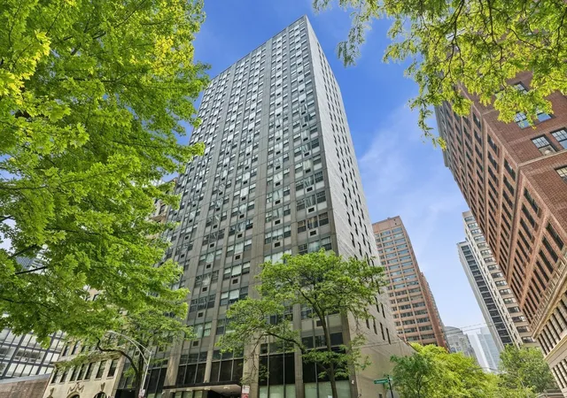 253-e-delaware-pl-22b-chicago-il-60611/hzid_fbefe57b
